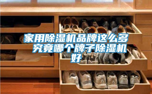 家用除湿机品牌这么多 究竟哪个牌子除湿机好