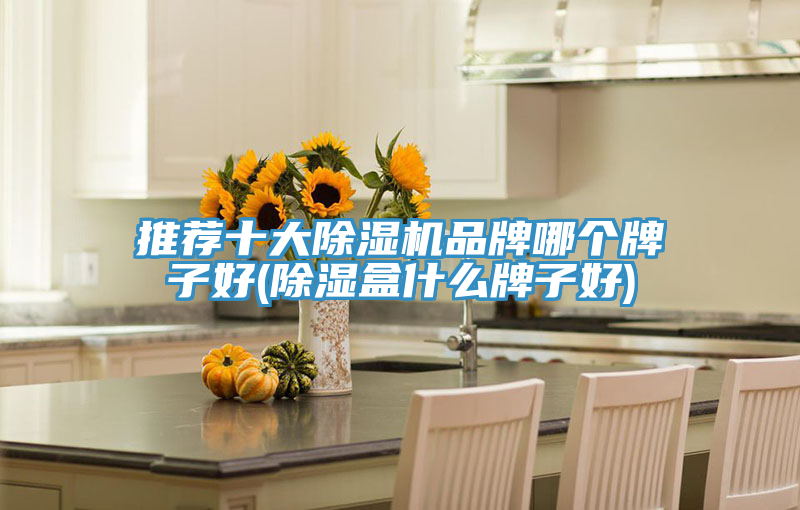 推荐十大除湿机品牌哪个牌子好(除湿盒什么牌子好)