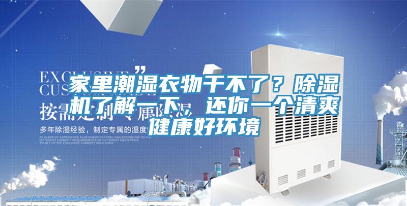 家里潮湿衣物干不了？除湿机了解一下，还你一个清爽健康好环境