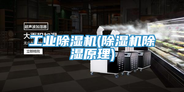 工业除湿机(除湿机除湿原理)