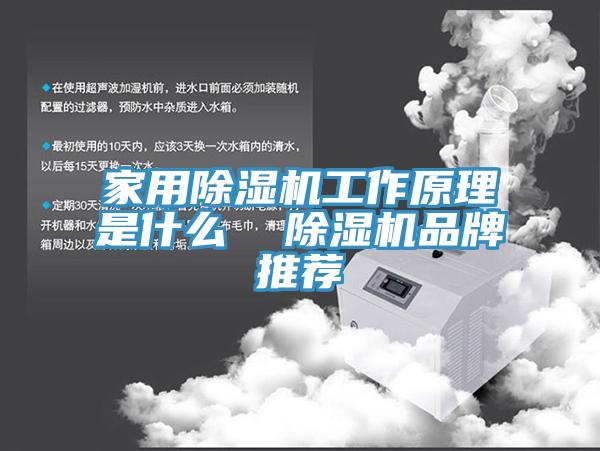 家用除湿机工作原理是什么  除湿机品牌推荐