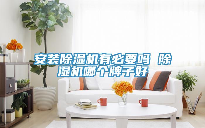 安装除湿机有必要吗 除湿机哪个牌子好