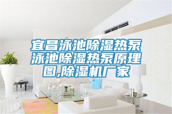 宜昌泳池除湿热泵泳池除湿热泵原理图,除湿机厂家