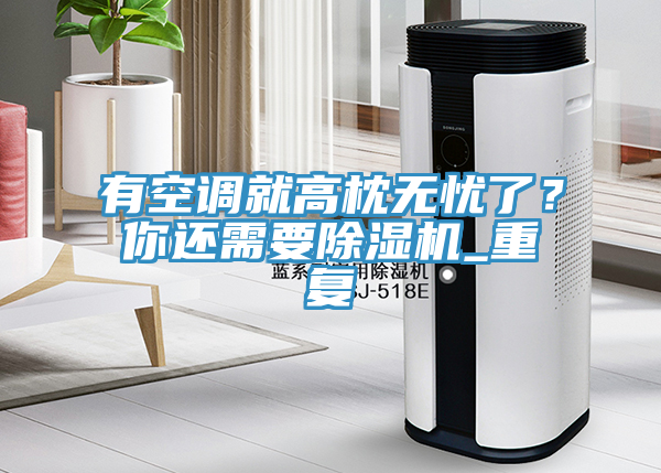 有空调就高枕无忧了？你还需要除湿机_重复