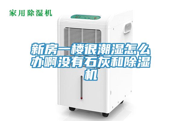 新房一楼很潮湿怎么办啊没有石灰和除湿机