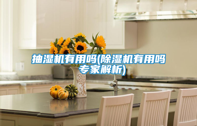抽湿机有用吗(除湿机有用吗 专家解析)