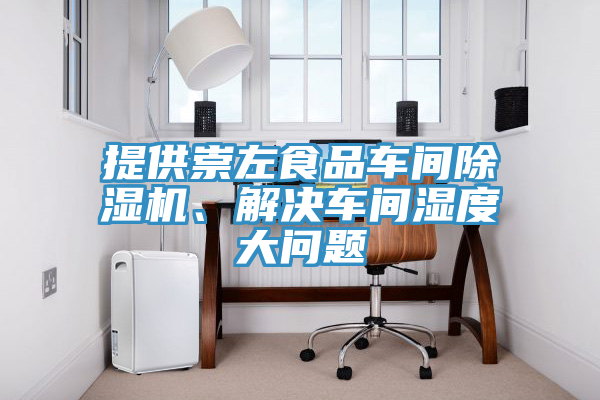 提供崇左食品车间除湿机、解决车间湿度大问题