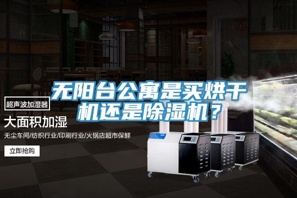 无阳台公寓是买烘干机还是除湿机？