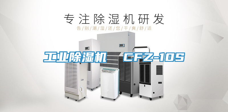 工业除湿机  CFZ-10S