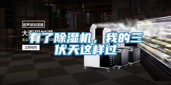 有了除湿机，我的三伏天这样过