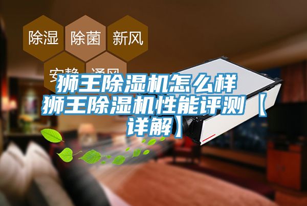 狮王除湿机怎么样 狮王除湿机性能评测【详解】