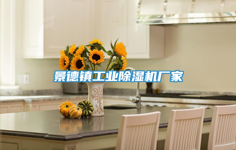 景德镇工业除湿机厂家