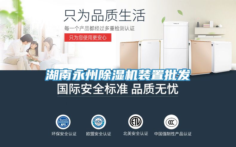 湖南永州除湿机装置批发