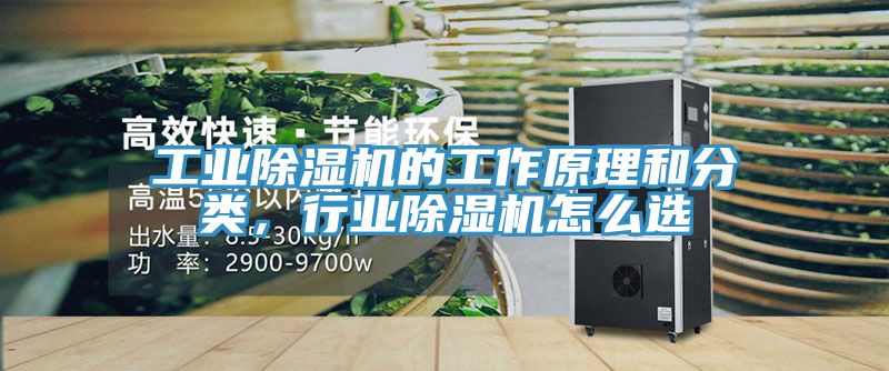工业除湿机的工作原理和分类，行业除湿机怎么选