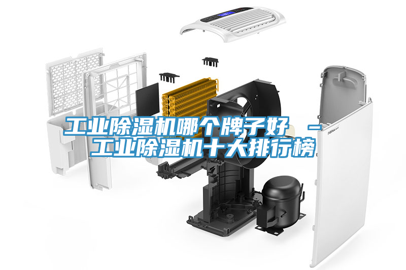 工业除湿机哪个牌子好 – 工业除湿机十大排行榜