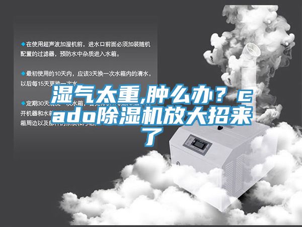 湿气太重,肿么办？cado除湿机放大招来了