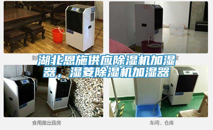 湖北恩施供应除湿机加湿器，湿菱除湿机加湿器