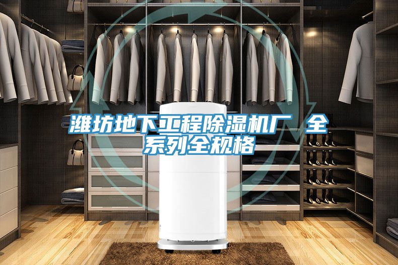 潍坊地下工程除湿机厂 全系列全规格