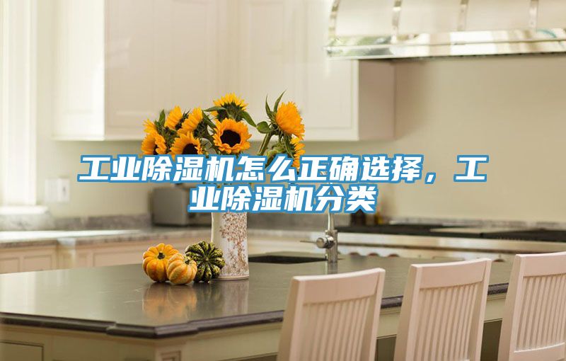 工业除湿机怎么正确选择，工业除湿机分类