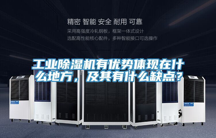 工业除湿机有优势体现在什么地方，及其有什么缺点？