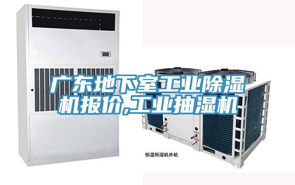 广东地下室工业除湿机报价,工业抽湿机