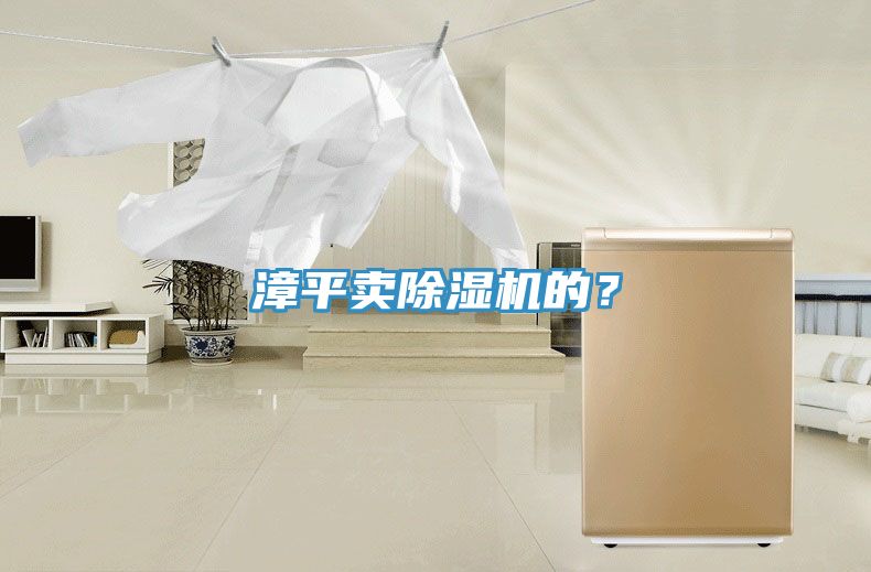 漳平卖除湿机的？