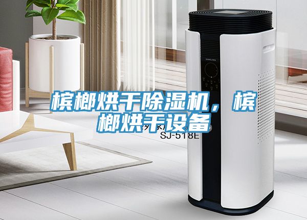 槟榔烘干除湿机，槟榔烘干设备
