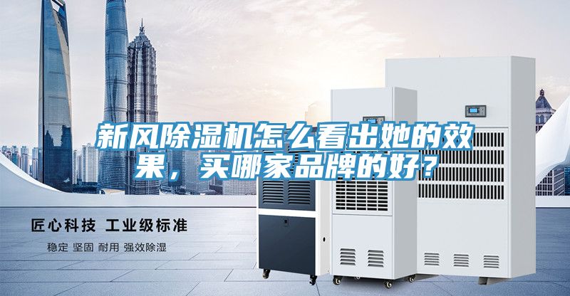 新风除湿机怎么看出她的效果，买哪家品牌的好？