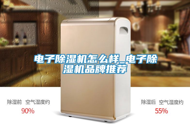 电子除湿机怎么样_电子除湿机品牌推荐