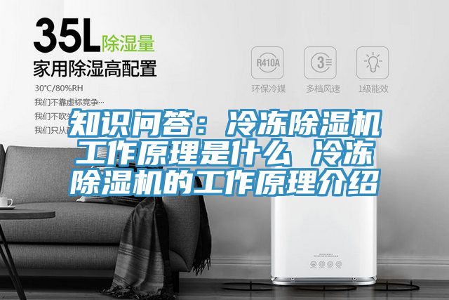 知识问答：冷冻除湿机工作原理是什么 冷冻除湿机的工作原理介绍