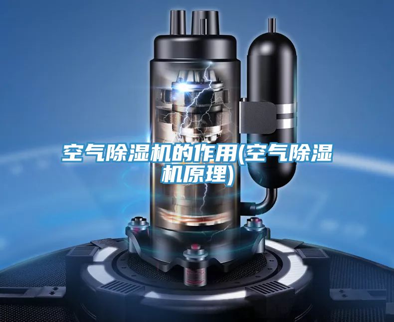 空气除湿机的作用(空气除湿机原理)