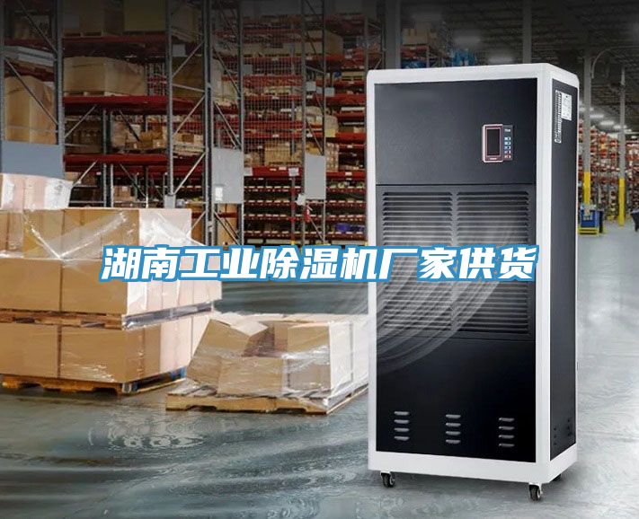湖南工业除湿机厂家供货