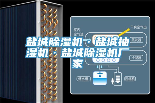 盐城除湿机·盐城抽湿机·盐城除湿机厂家