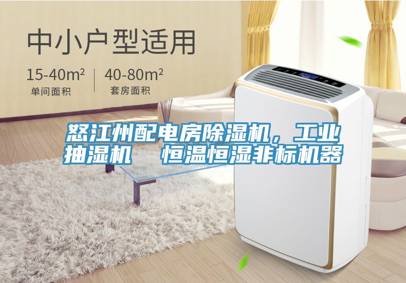 怒江州配电房除湿机，工业抽湿机  恒温恒湿非标机器
