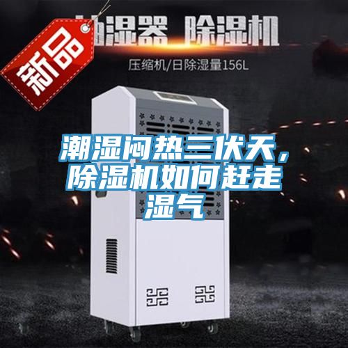 潮湿闷热三伏天，除湿机如何赶走湿气