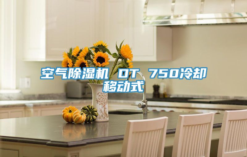 空气除湿机 DT 750冷却移动式