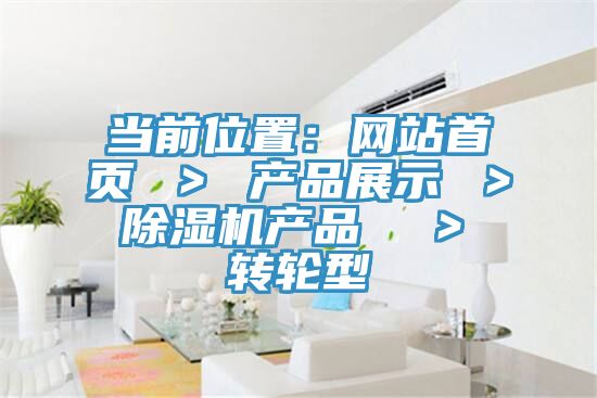 当前位置：网站首页 ＞ 产品展示 ＞ 除湿机产品  ＞ 转轮型