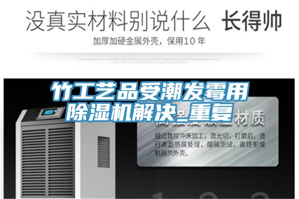竹工艺品受潮发霉用除湿机解决_重复