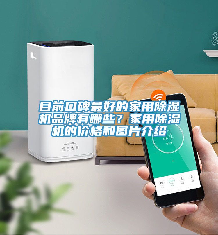目前口碑最好的家用除湿机品牌有哪些？家用除湿机的价格和图片介绍