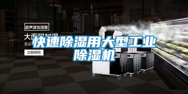 快速除湿用大型工业除湿机