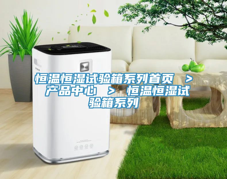 恒温恒湿试验箱系列首页 ＞ 产品中心 ＞ 恒温恒湿试验箱系列