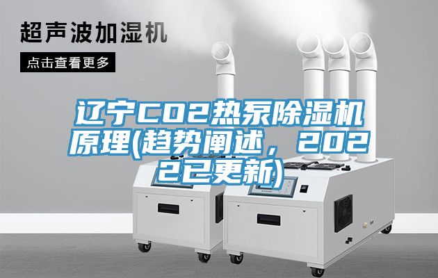 辽宁CO2热泵除湿机原理(趋势阐述，2022已更新)