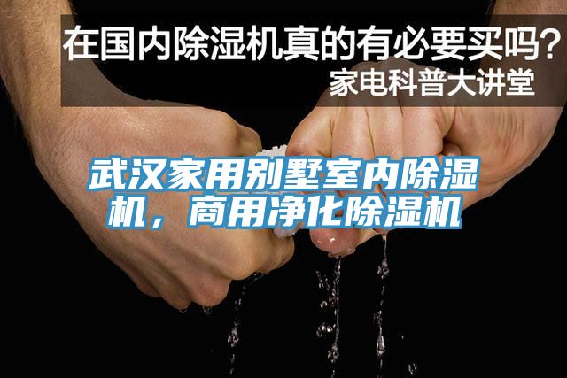 武汉家用别墅室内除湿机，商用净化除湿机