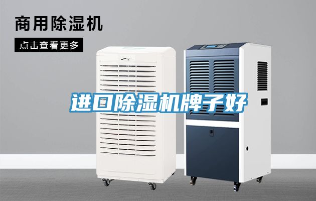 进口除湿机牌子好