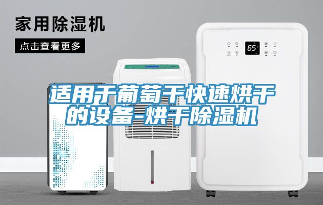 适用于葡萄干快速烘干的设备-烘干除湿机