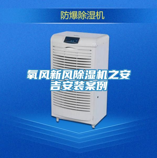 氧风新风除湿机之安吉安装案例