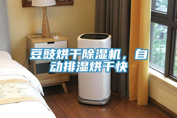 豆豉烘干除湿机，自动排湿烘干快