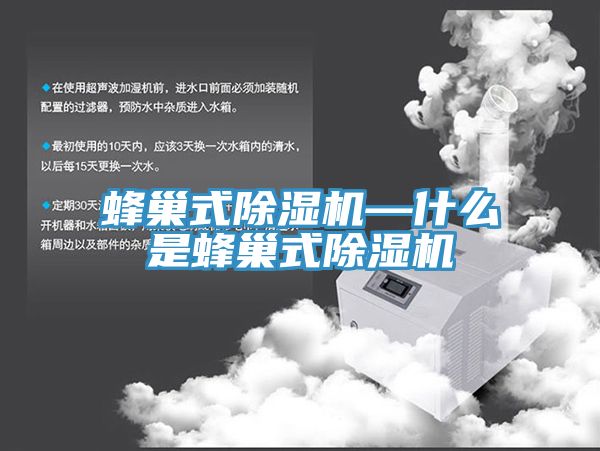 蜂巢式除湿机—什么是蜂巢式除湿机