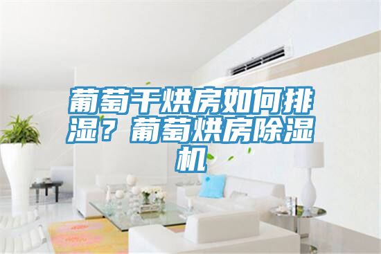 葡萄干烘房如何排湿？葡萄烘房除湿机