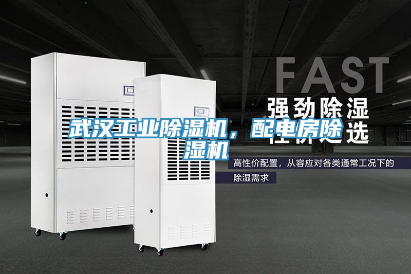 武汉工业除湿机，配电房除湿机